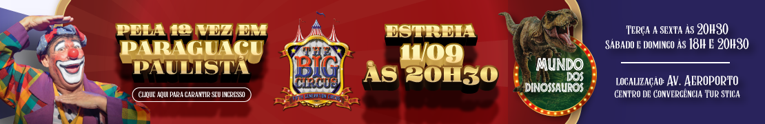 THE BIG CIRCUS