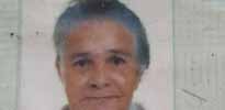 i7 Notícias - Maria Paixão Santos