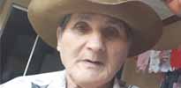 i7 Notícias - José Feliciano Siqueira Filho