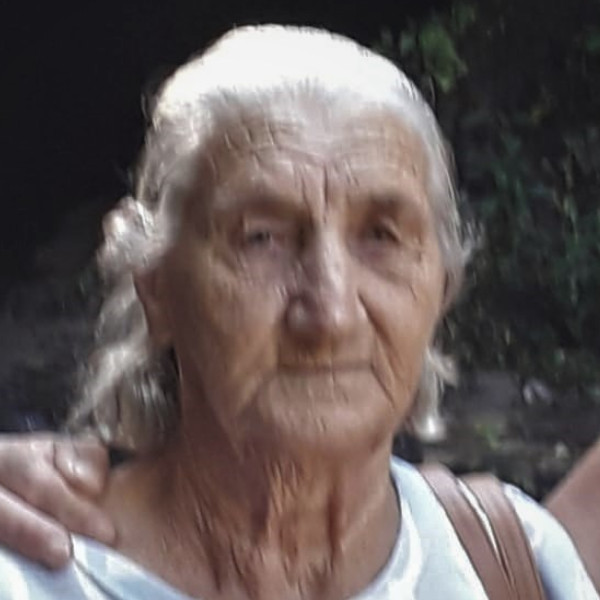 i7 Notícias - Maria Ferreti Araújo