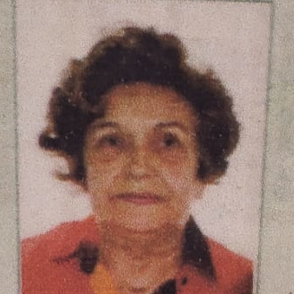 i7 Notícias - Dirce Mair Faria