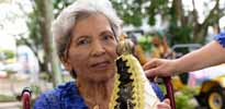 i7 Notícias - Marcimiria Cecilia da Silva Bibiano - 88 anos