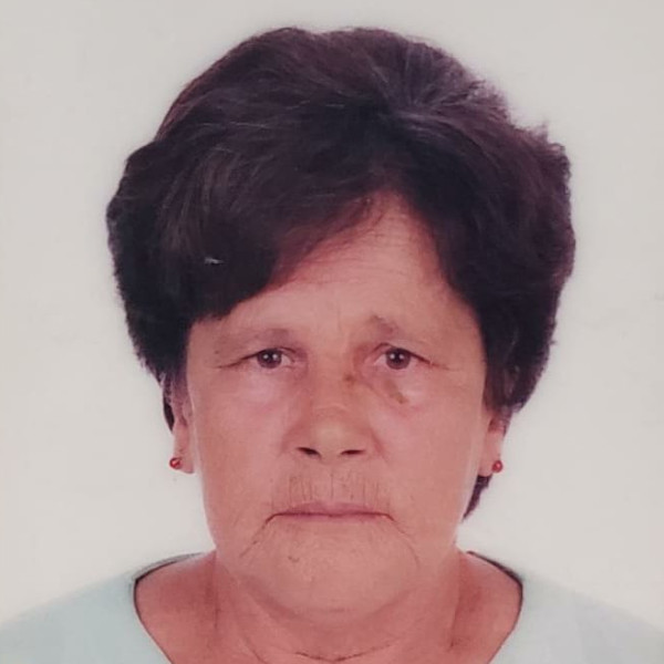 i7 Notícias - Irene Silvestre