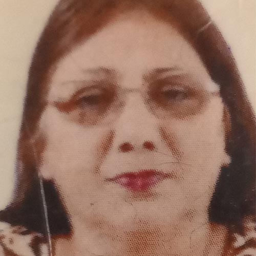 i7 Notícias - Sandra Regina Maia Ferreira