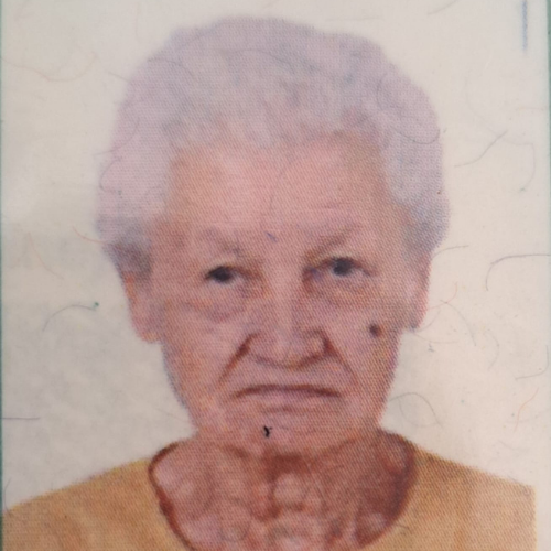 i7 Notícias - Judith Lima dos Santos