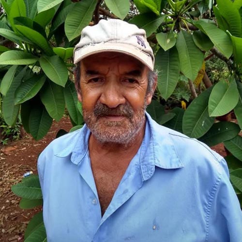 i7 Notícias - Alvarino Ferreira Teodoro