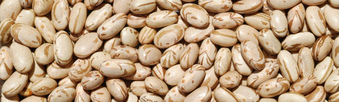 Secretaria da Agricultura de Assis recebeu 24 toneladas de feijão