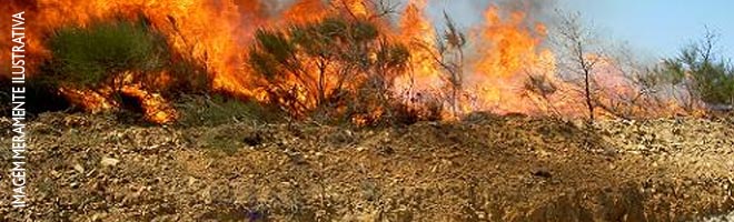 Clima seco aumenta o número de incêndios na região