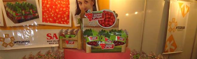 Empresas trazem lançamento do Projeto Tomate Sweet Grape para a 10ª Expo