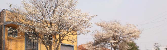 Flagra da natureza!