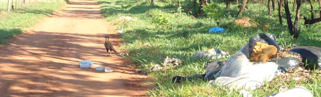 Entulhos, restos de animais e filhotes de urubus são encontrados em estrada de terra