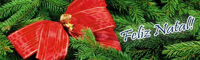 A equipe do Portal Paraguaçu deseja a todos um Feliz Natal!