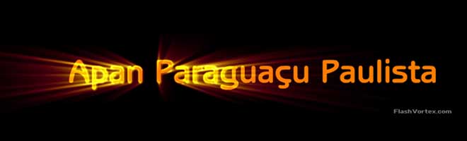 Natação Municipal define datas, inaugura novo blog e reapresenta a equipe dia 17 de janeiro