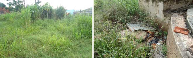 Vizinhos reclamam de terreno baldio abandonado na rua dos Paivas