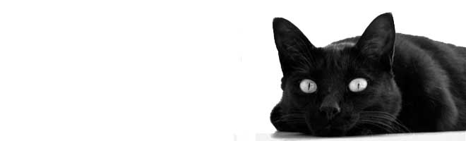 Sugestão de Leitura: O Gato Preto