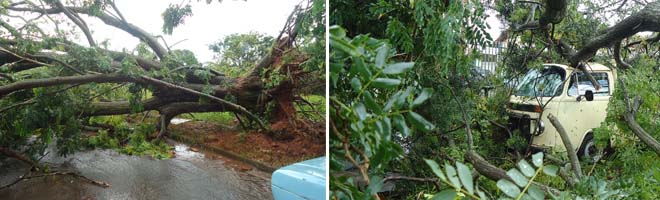 Chuva causa estragos pela cidade, principalmente no Jardim Panambi