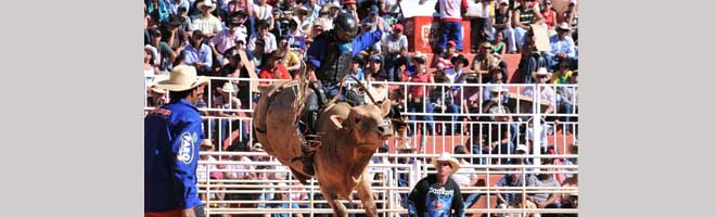 Continua neste final de semana o 2º Rodeio na Fazenda Santa Virgínia, em Lutécia
