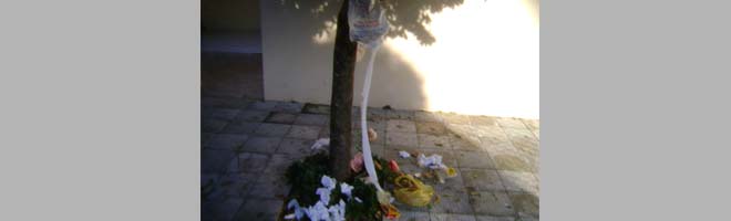 Moradora do Jardim Panambi reclama da coleta do lixo urbano
