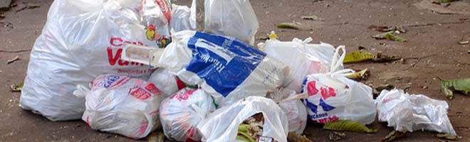 Paraguaçu entrará na luta para erradicação de sacolinhas plásticas