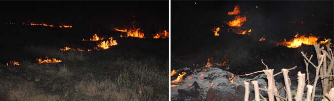 Terreno de madeireira é alvo de incêndio propício do período de seca