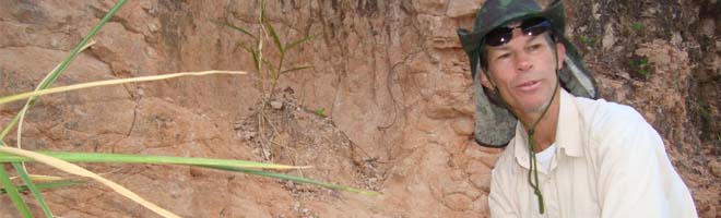 Da novela para a vida real; pesquisadores procuram fósseis de dinossauro em Marília