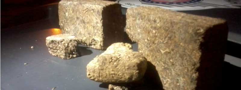 Tijolos de maconha são apreendidos em casa abandonada em Assis