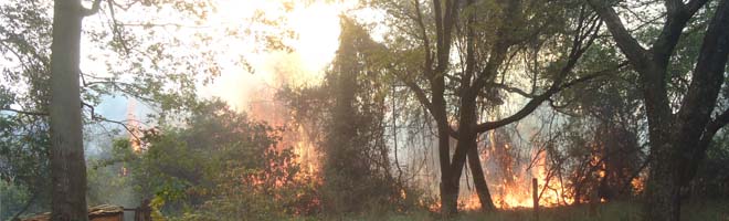 Incêndio atinge chácaras e terreno da Disparlat