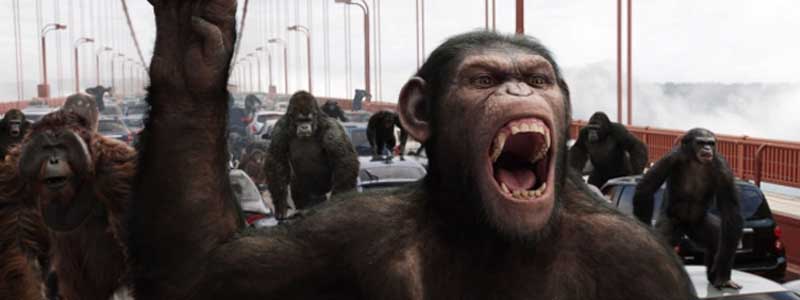 Cine Municipal traz “Planeta dos Macacos – a origem” a partir deste final de semana