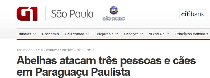 Ataque de abelhas em Paraguaçu Paulista tem repercussão em mídia nacional
