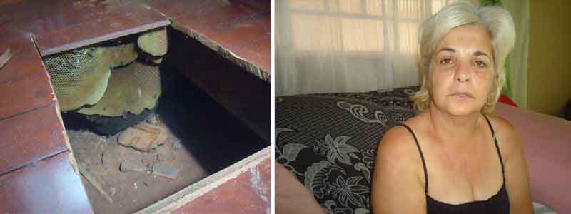 Colméia de abelhas é retirada do assoalho da casa; vítima mais grave tem alta