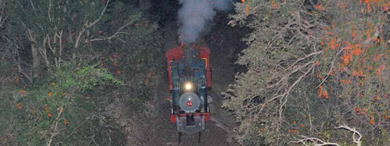 Trem Moita Bonita está realizando passeios noturnos dentro do “EnCantos de Natal”