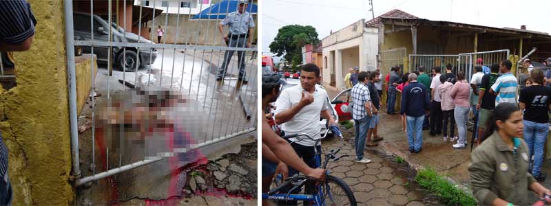 Pitbull é morto a pauladas após tentar atacar mulher e matar vira-lata