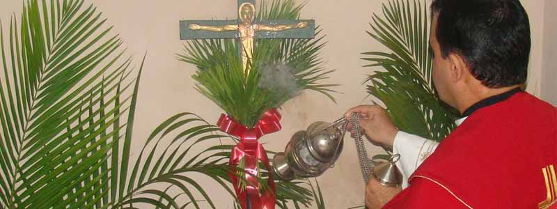 Igreja católica divulga programação para Domingo de Ramos