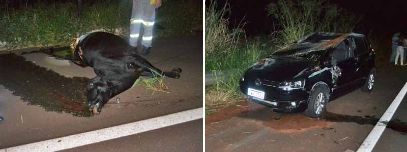 Vaca morta na pista faz paraguaçuense capotar veículo
