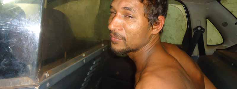 Após ser preso mais de dez vezes, homem volta para trás das grades por furtar égua