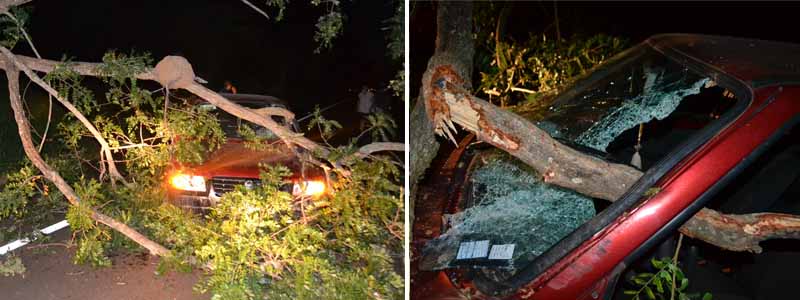 Idoso fica ferido após colidir veículo contra árvore caída no meio da pista