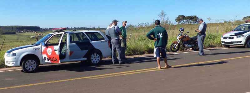 Vaca é furtada e sacrificada; partes do corpo são deixadas no local