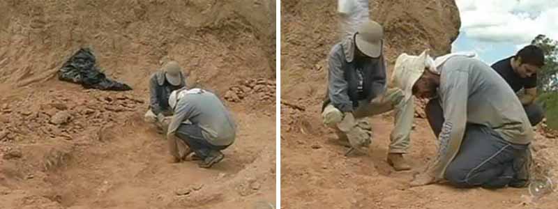 Escavação de fósseis de dinossauro é retomada em Marília