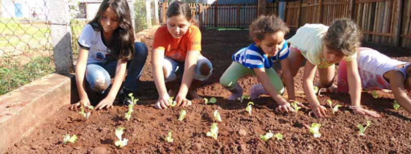 Clube da Juventude instala horta e melhora alimentação dos participantes