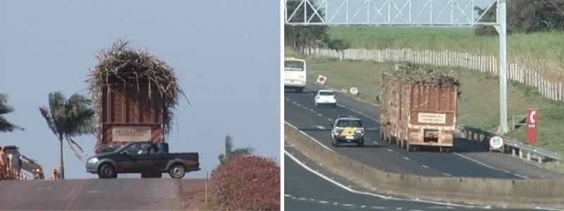 Motoristas admitem transportar cana acima do peso nas rodovias da região