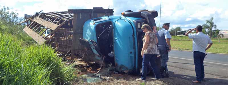 Ao fazer o trevo, caminhão carregado com 18 cabeças de gado tomba
