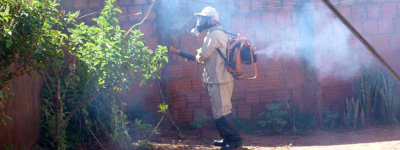 Paraguaçu entra em estado de alerta geral com a confirmação de 33 casos de dengue