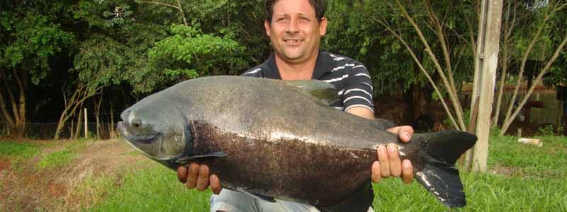 Pesqueiro Esmeralda está com inscrições abertas para o 1º Torneio de Pesca de 2013