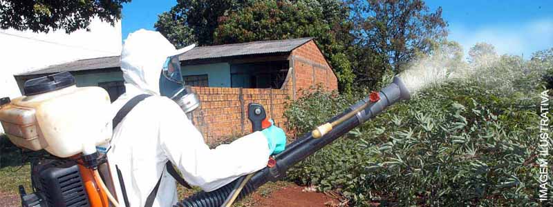 Dengue avança rápido em Paraguaçu e quase 200 casos da doença já foram registrados