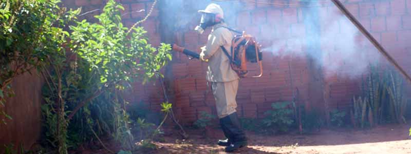 Departamento de Saúde confirma mais de 300 casos de dengue e 800 notificações em Paraguaçu