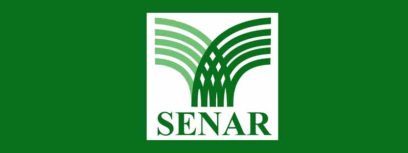 Sindicato Patronal está com inscrições abertas para cursos gratuitos