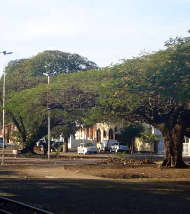 Prefeitura organiza serviços de caminhões que fazem frete na cidade