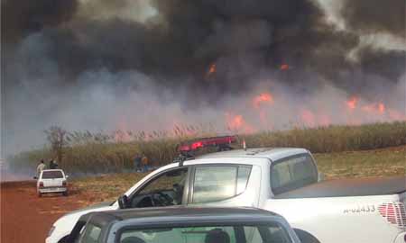 Incêndio consome mais de 90 mil toneladas de cana em Maracaí
