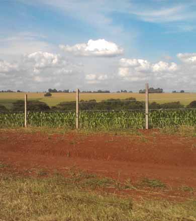 Sindicato Rural pede colaboração de produtores e Poder Público para a conservação das rodovias