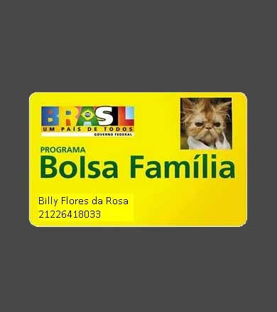 Gato recebe benefício do Bolsa-Família por sete meses